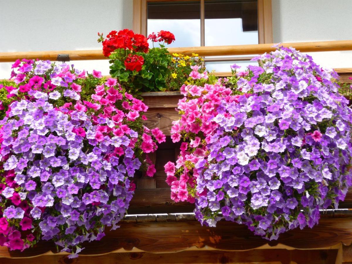Ferienwohnung Huberhof Oberndorf en Tyrol Extérieur photo